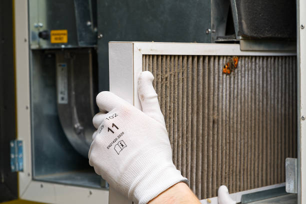 Best Affordable Duct Cleaning Services  in Randallstown, MD