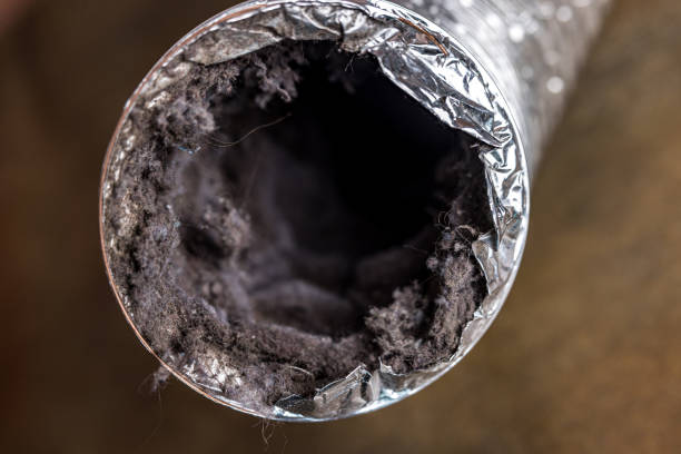 Best Professional Duct Cleaning Services  in Randallstown, MD